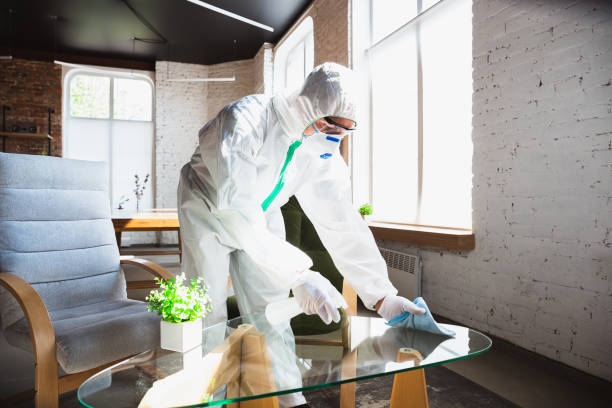 Why You Should Choose Our Mold Remediation Services in Wenatchee, WA